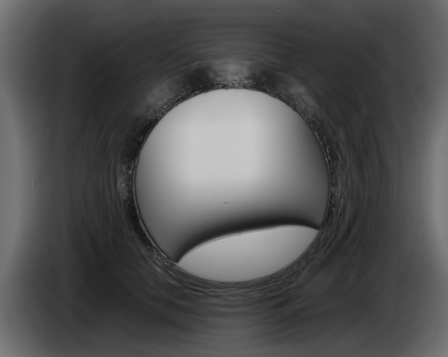 X0000085050658200703051046
