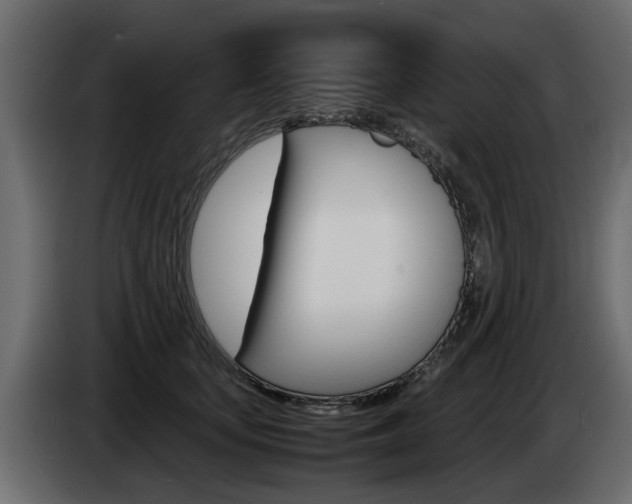 X0000085050659200703051046