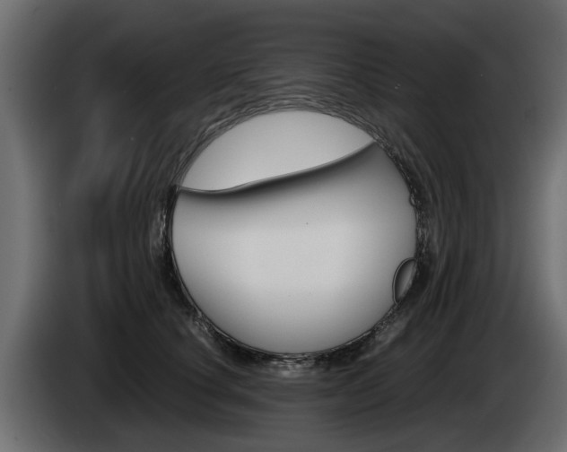 X0000085050660200703051046