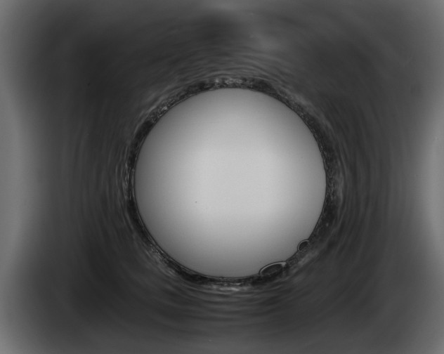 X0000085050661200703051046