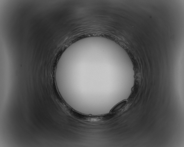 X0000085050662200703051046