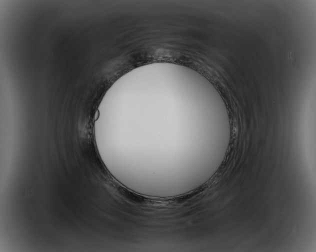 X0000085050663200703051046