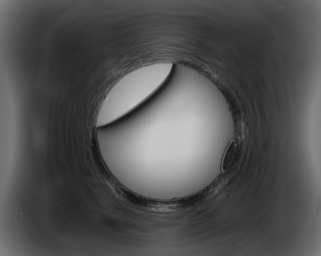 X0000085050664200703051046