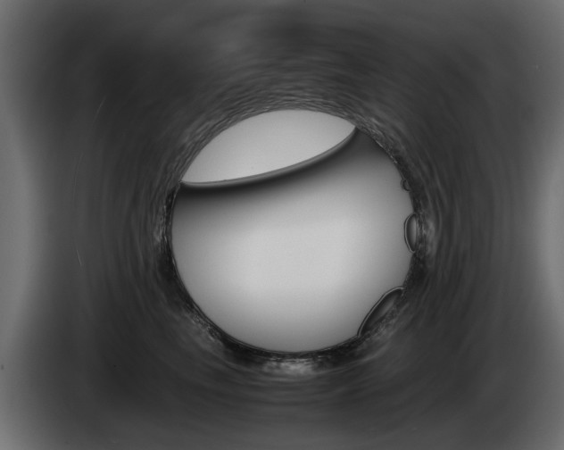 X0000085050665200703051046