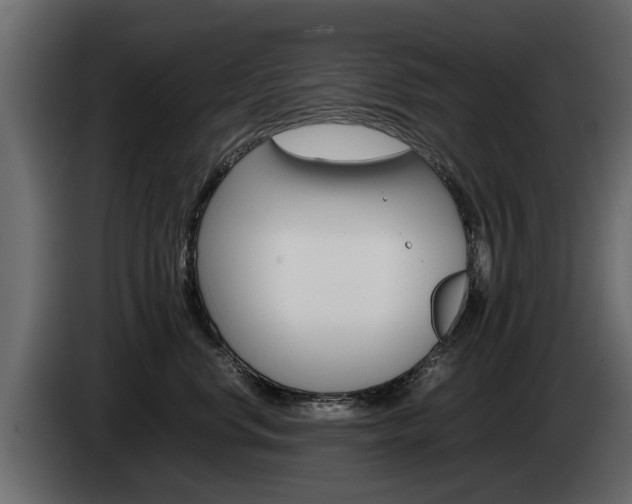 X0000085050668200703051046