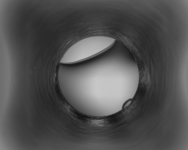 X0000085050669200703051046