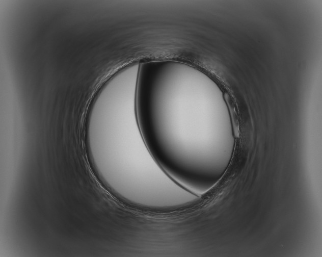 X0000085050673200703051046