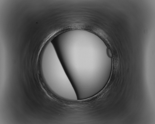 X0000085050674200703051046