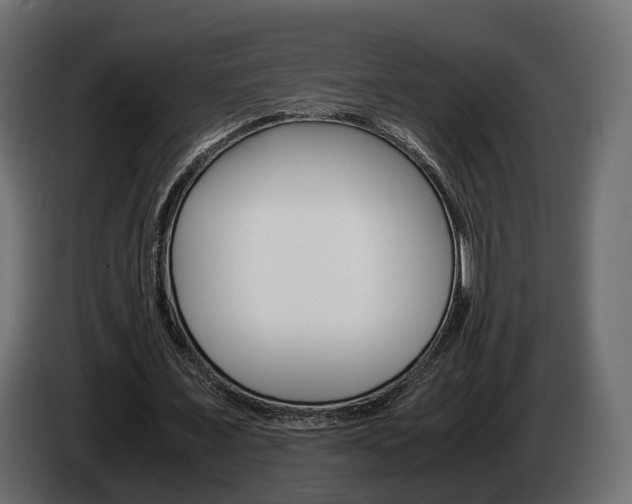 X0000085050675200703051045