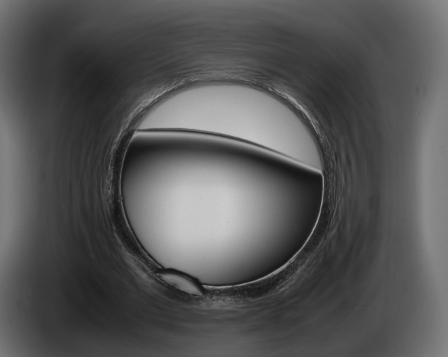 X0000085050677200703051045