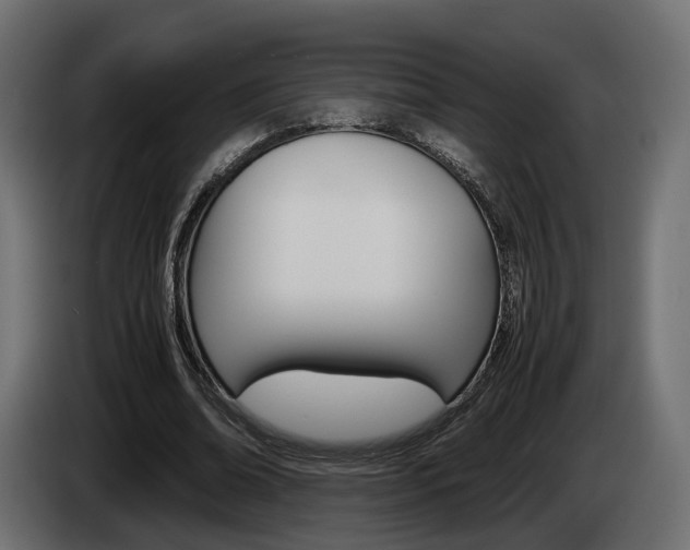 X0000085050678200703051045