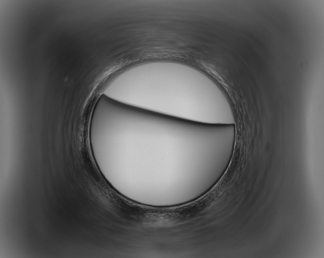 X0000085050679200703051045