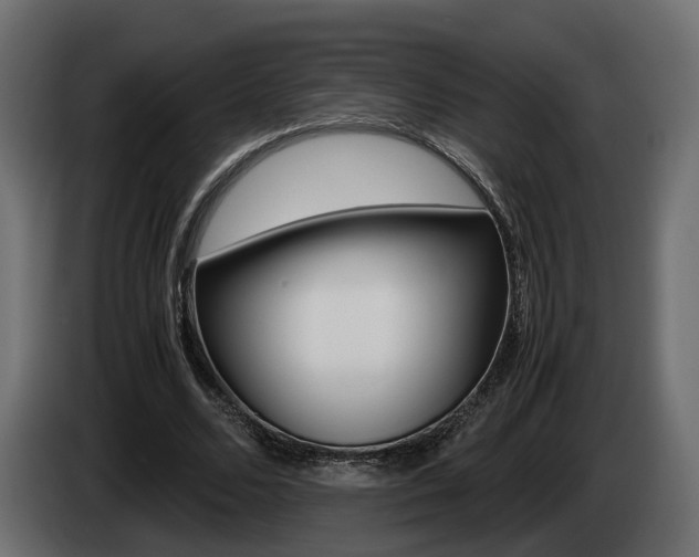 X0000085050680200703051045