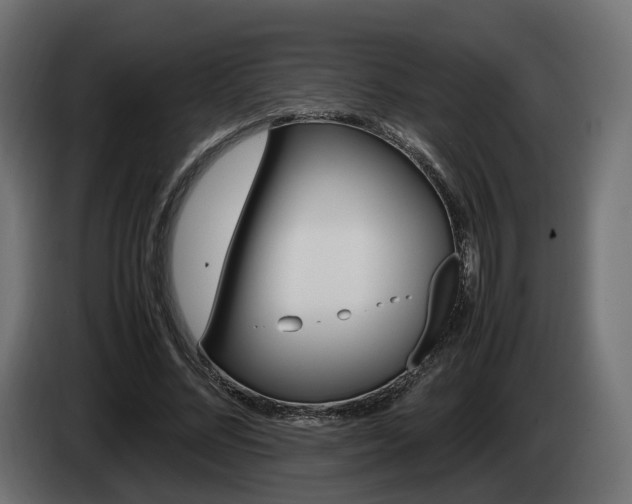 X0000085050684200703051045