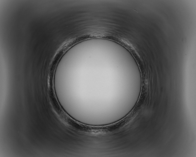 X0000085050686200703051045