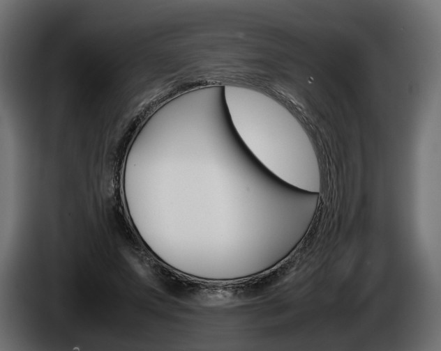 X0000085050687200703051045
