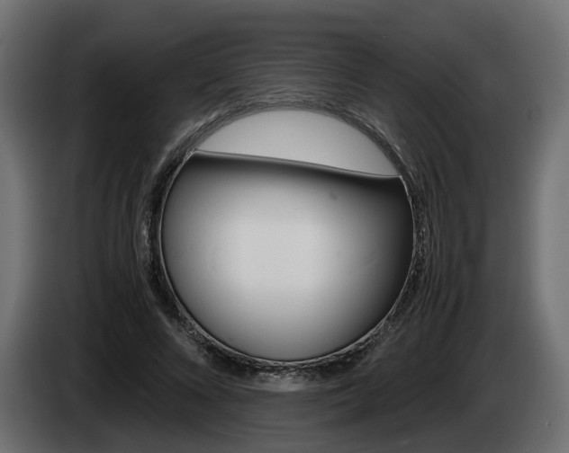 X0000085050688200703051045