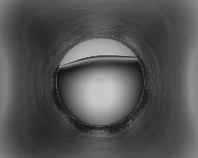 X0000085050689200703051045