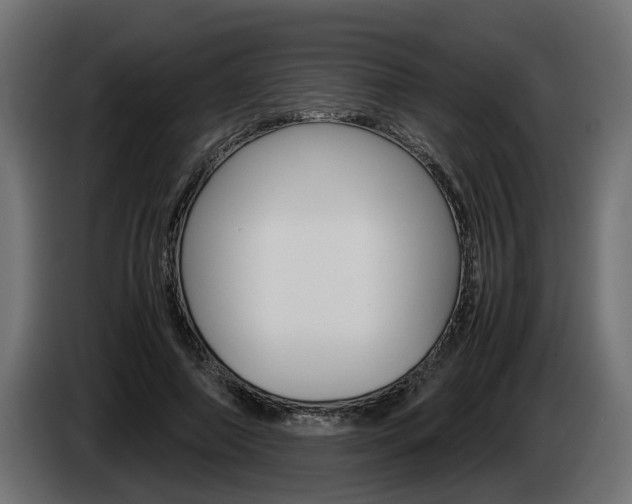 X0000085050690200703051045