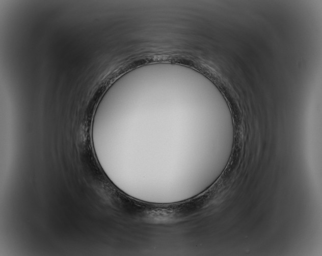X0000085050691200703051045