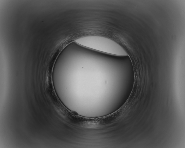 X0000085050692200703051045