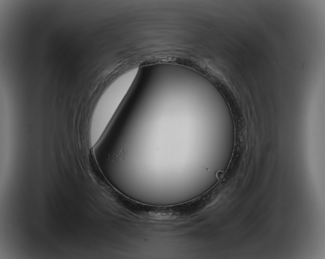 X0000085050693200703051045