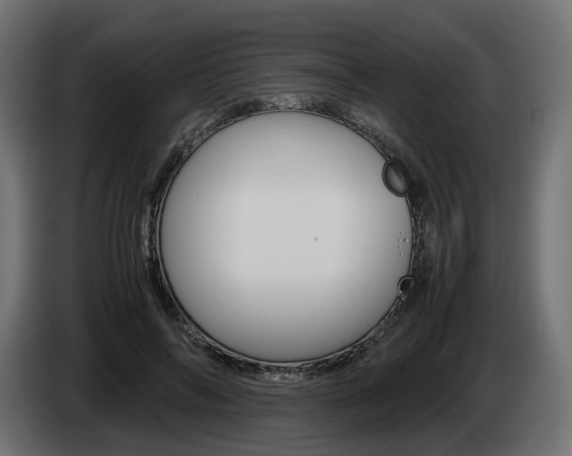 X0000085050694200703051045