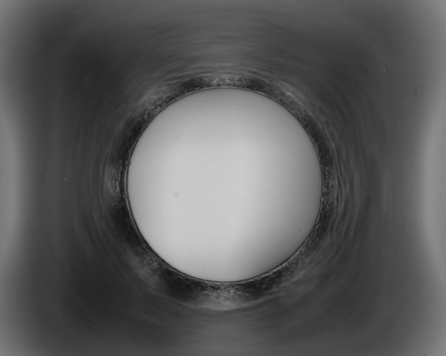 X0000085050695200703051045