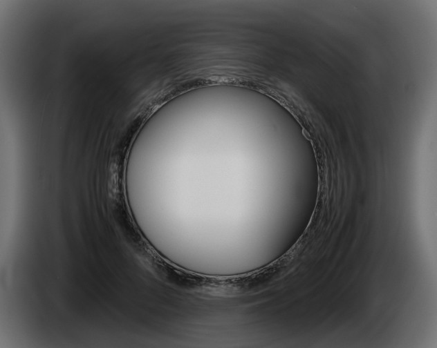 X0000085050696200703051045