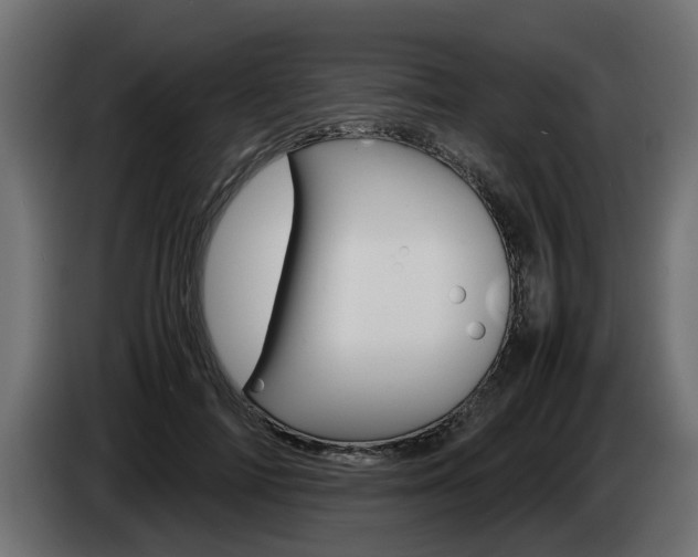 X0000085050698200703051045