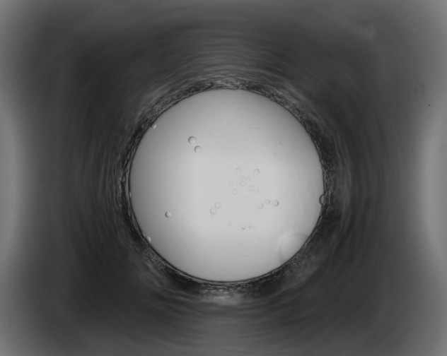X0000085050702200703051045