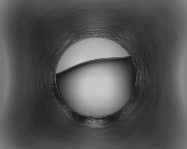 X0000085050712200703051045