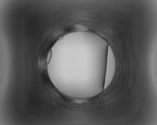X0000085050713200703051045