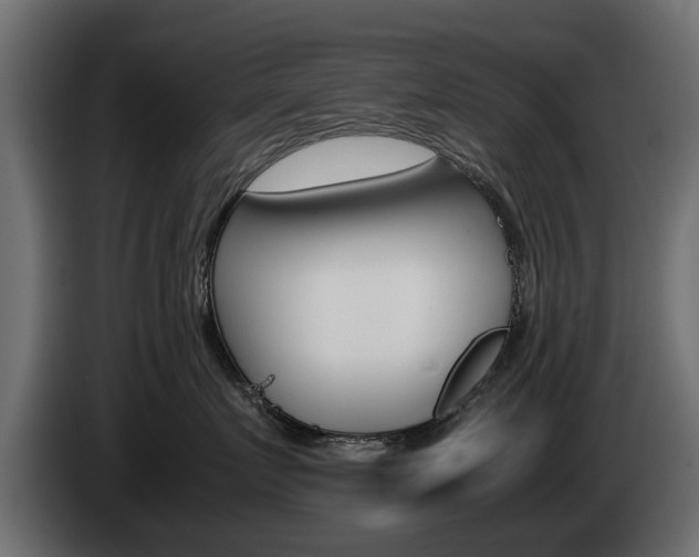 X0000085050719200703051045