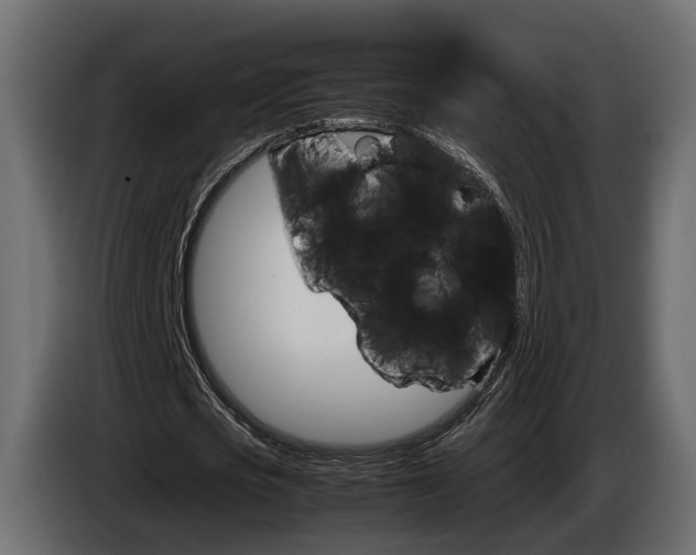X0000085050721200703051044