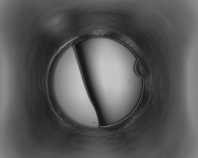 X0000085050722200703051044