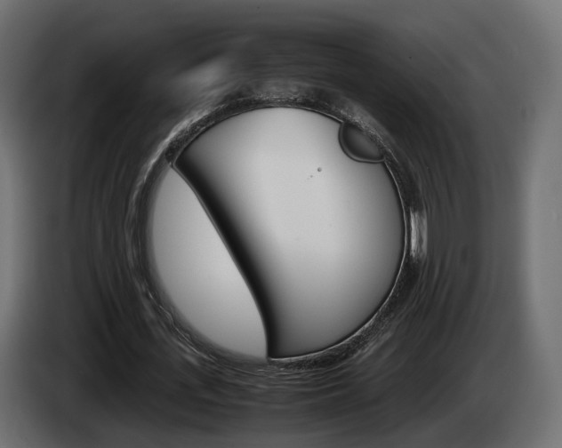 X0000085050723200703051044