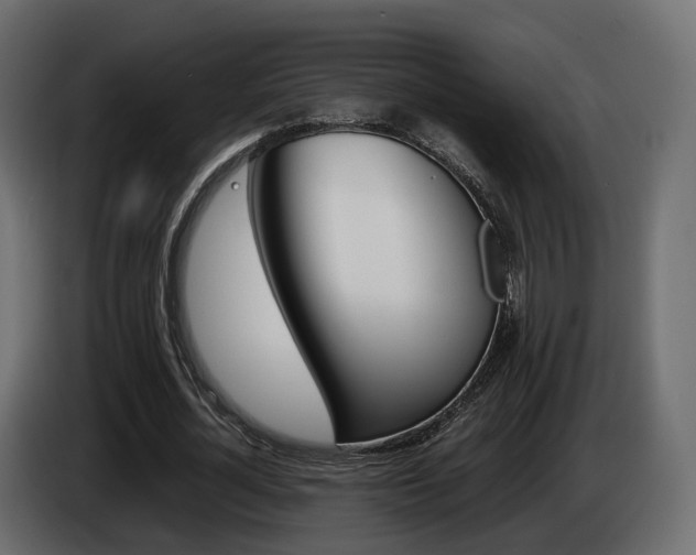 X0000085050724200703051044