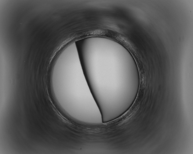 X0000085050725200703051044