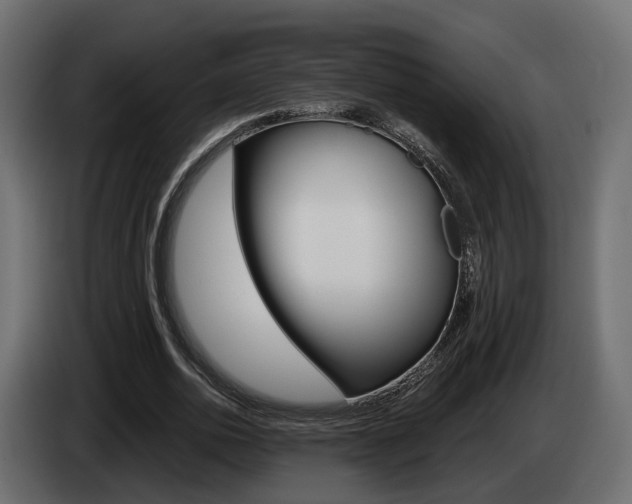 X0000085050726200703051044
