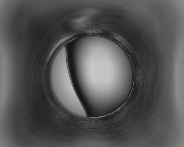 X0000085050727200703051044