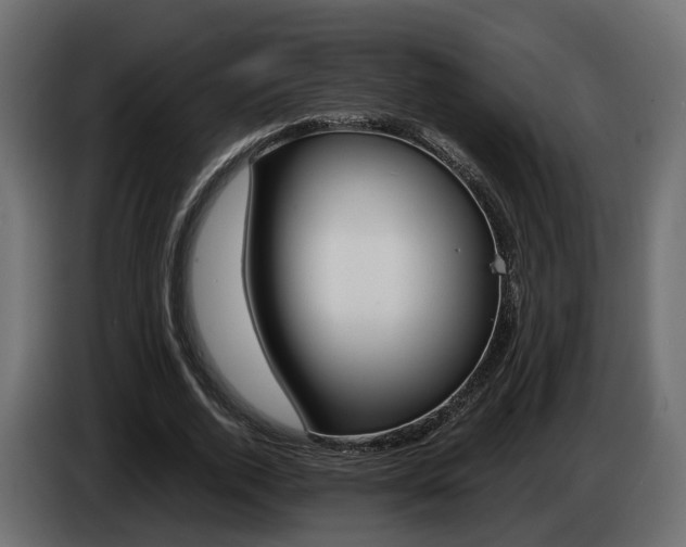 X0000085050728200703051044