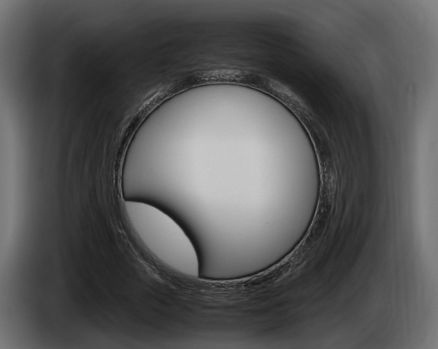 X0000085050729200703051044