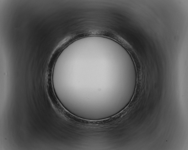 X0000085050730200703051044