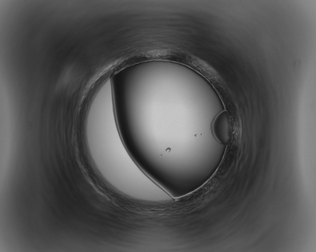 X0000085050732200703051044