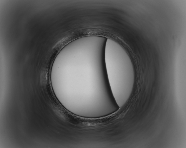 X0000085050733200703051044