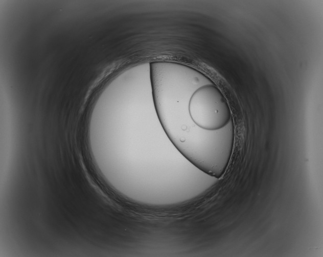 X0000085050734200703051044