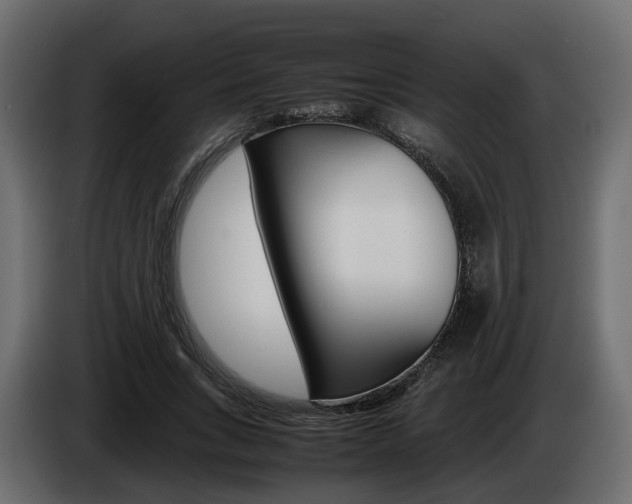 X0000085050735200703051045