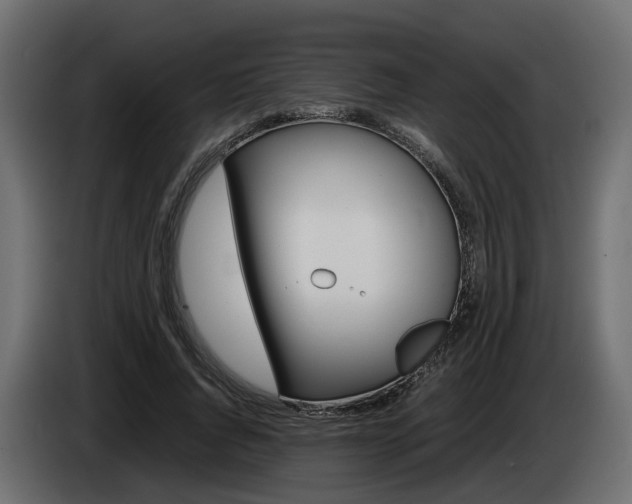 X0000085050736200703051045