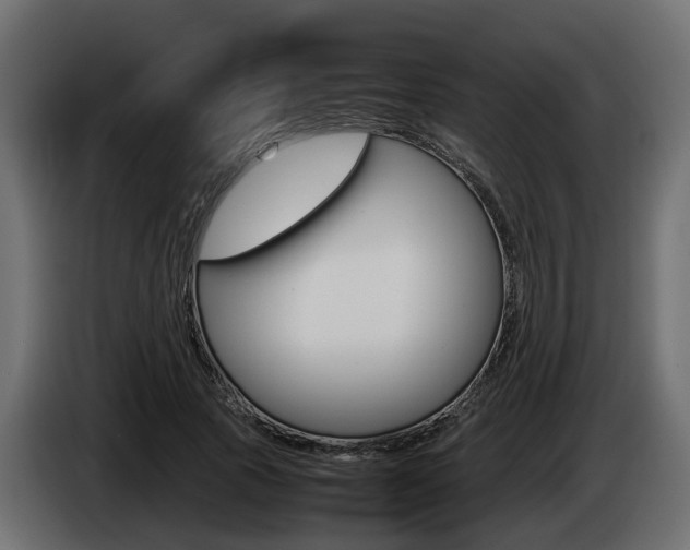 X0000085050737200703051045